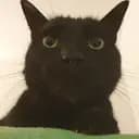Mortimer