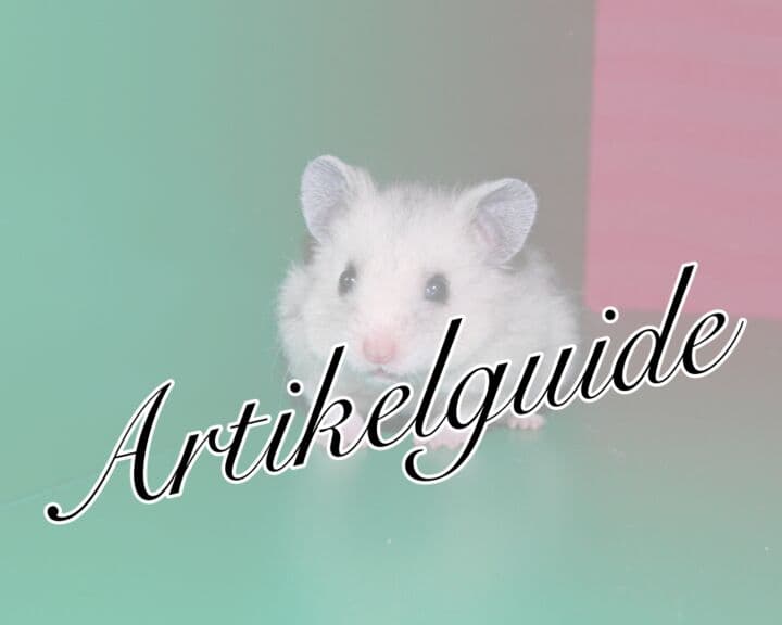 Artikelguide